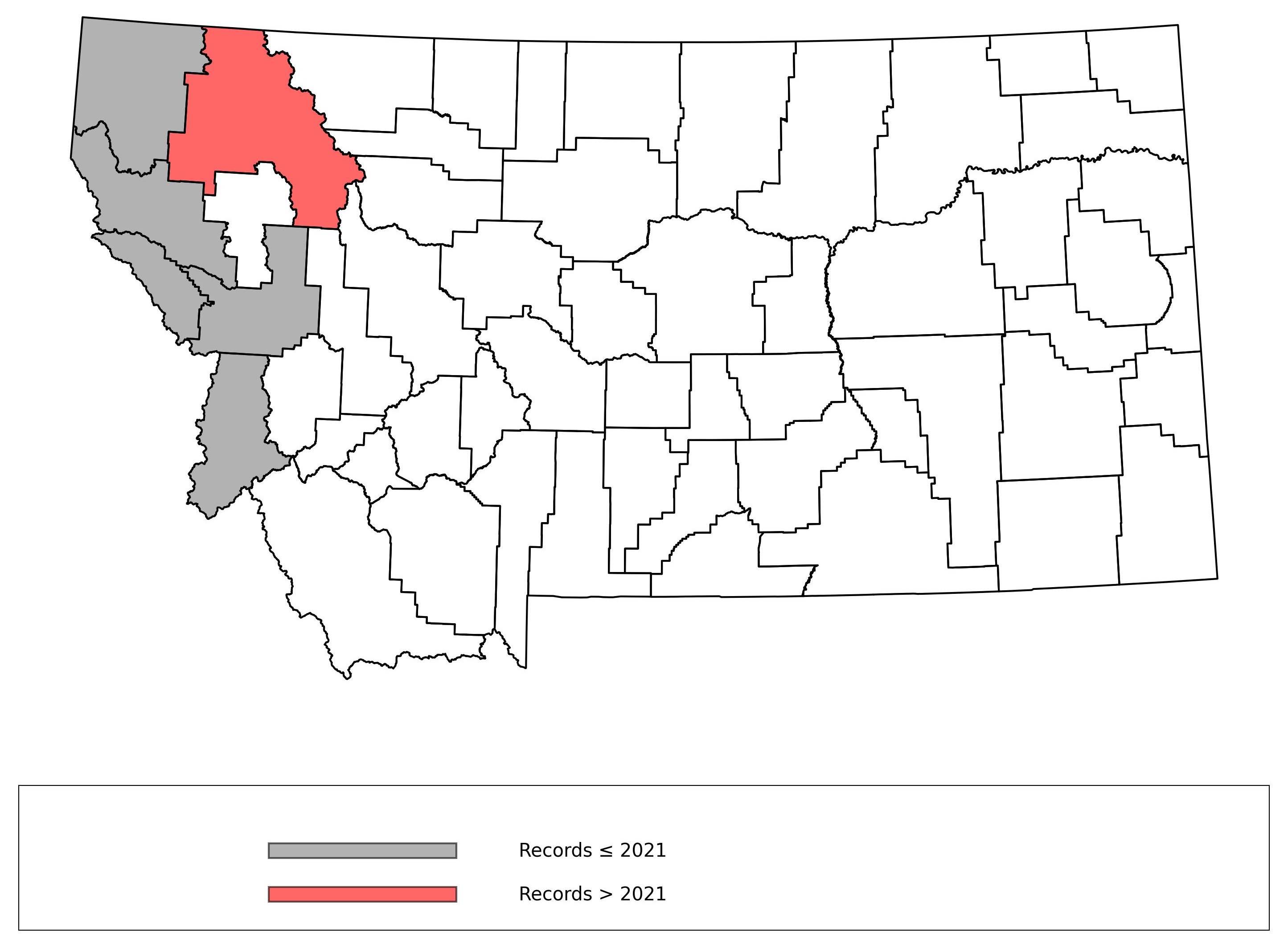 Megachile_angelarum  Megachile_angelarum