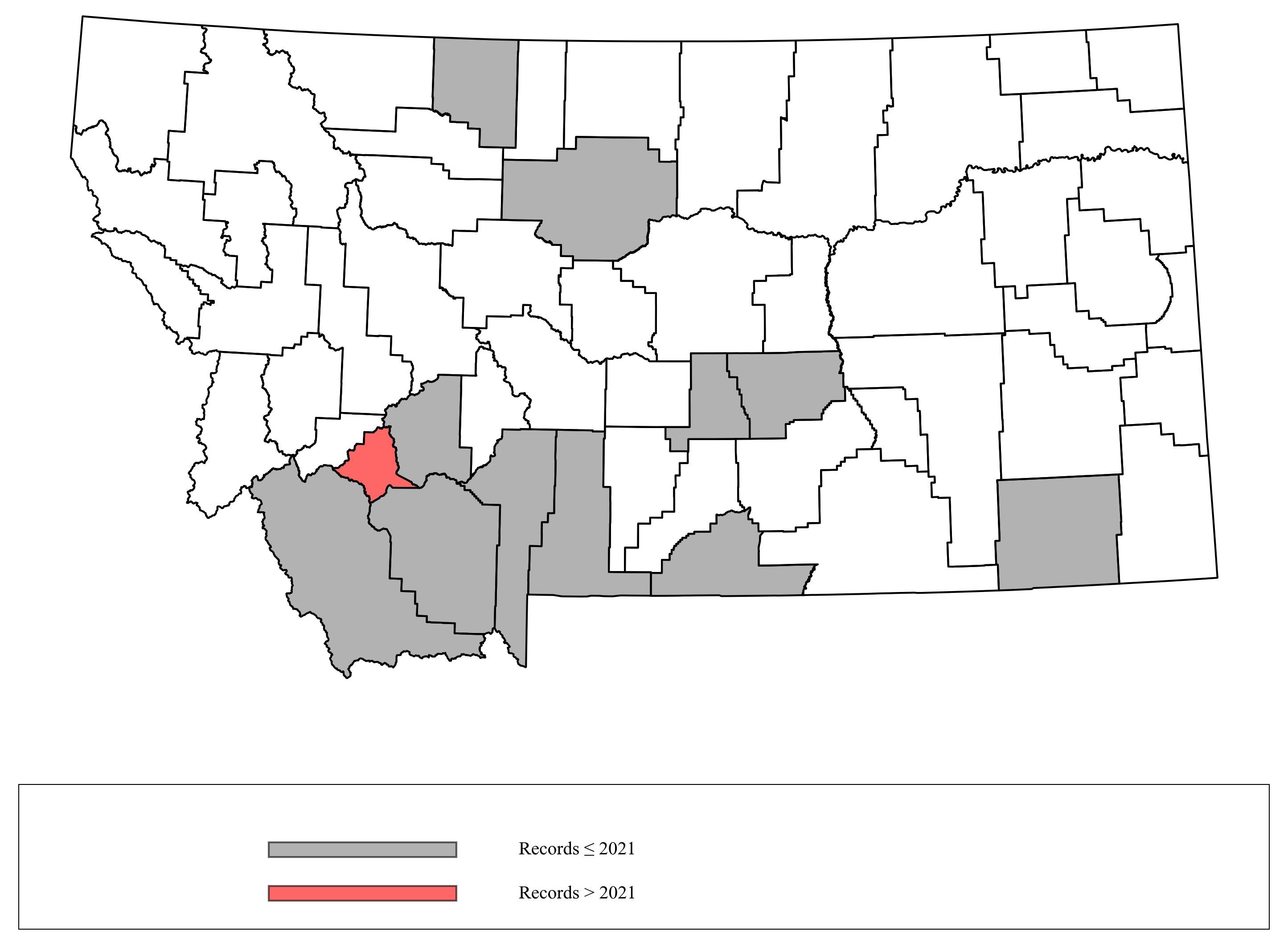 Megachile_anograe  Megachile_anograe