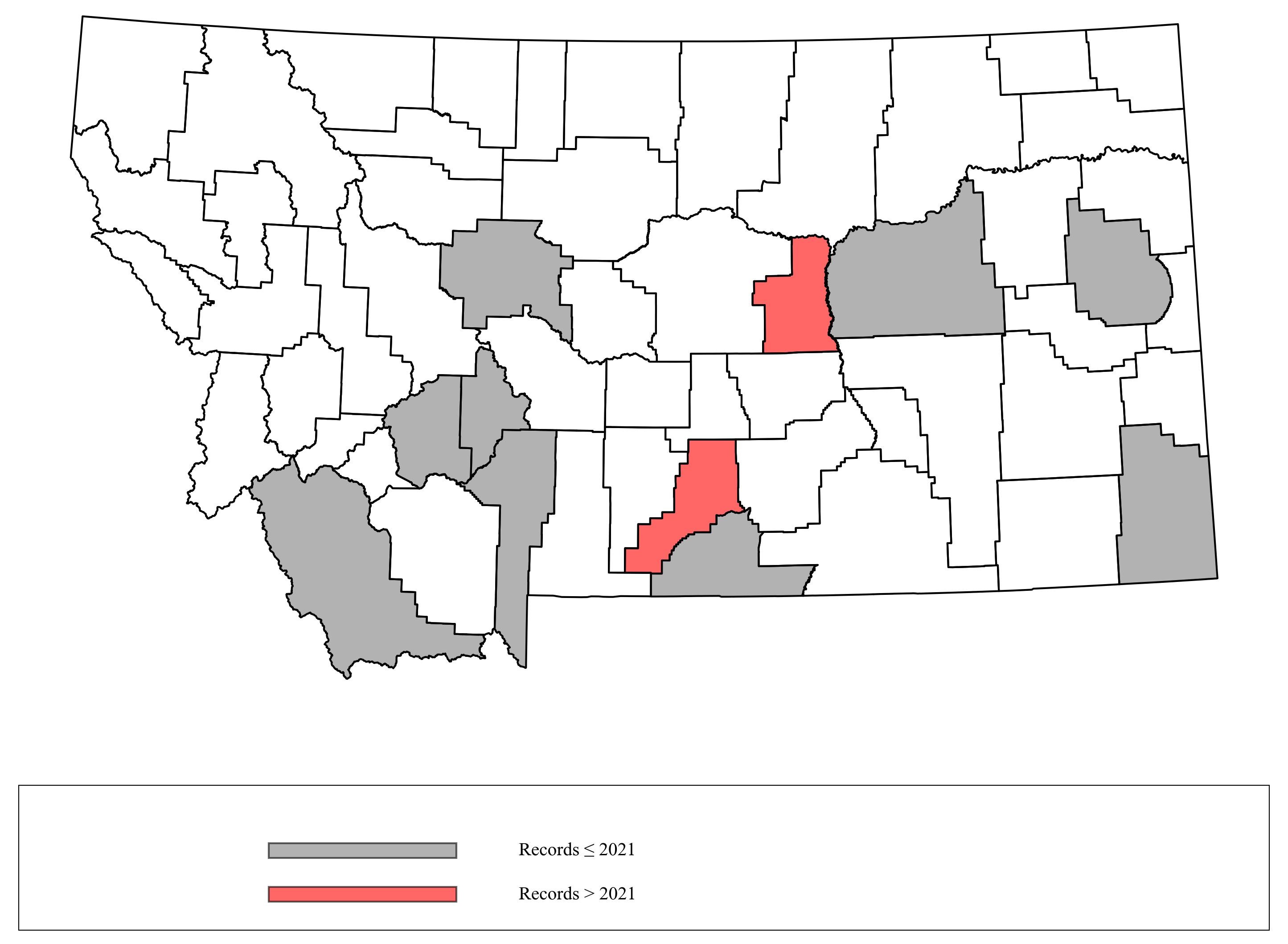 Megachile_casadae  Megachile_casadae