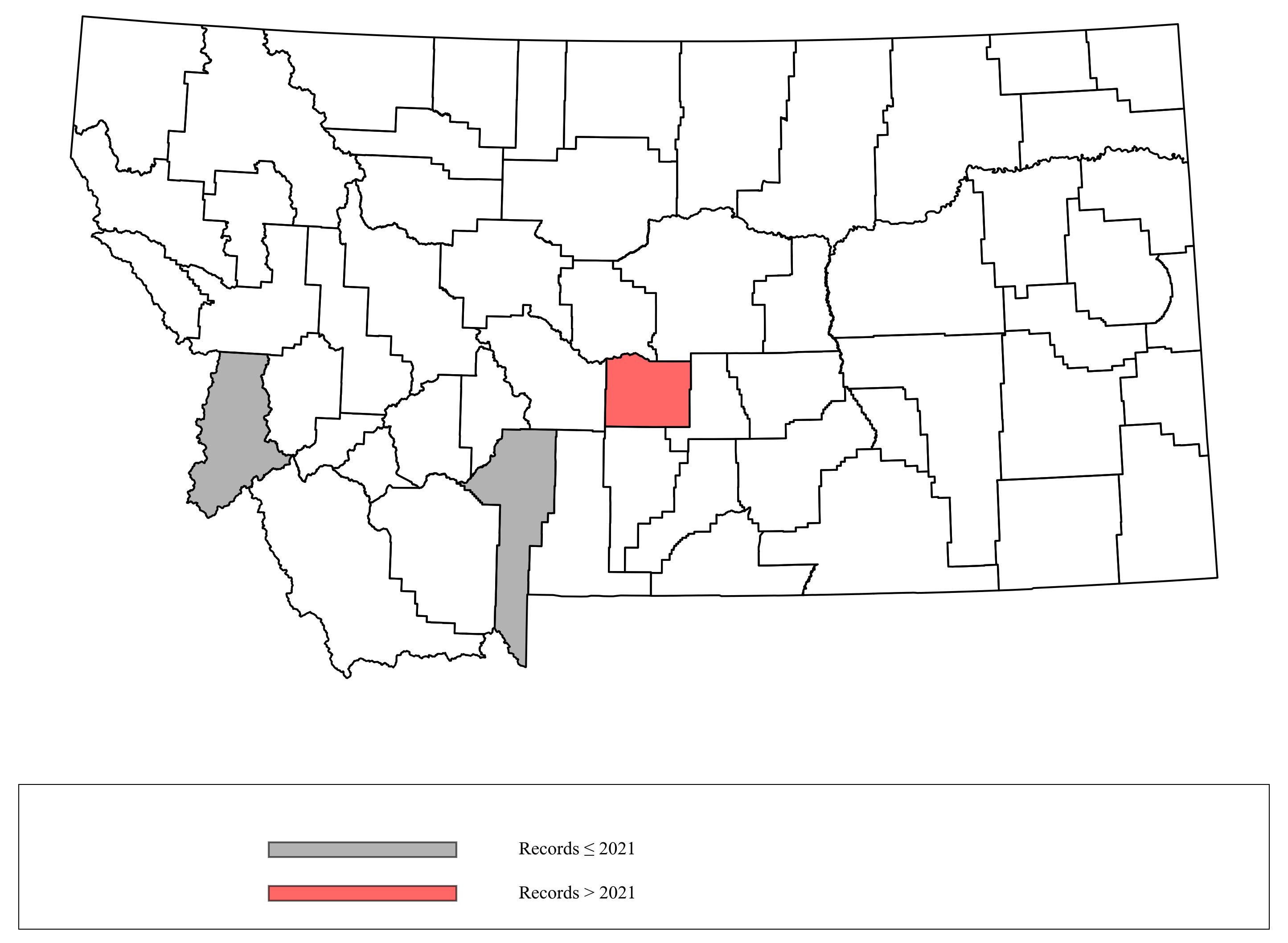 Megachile_centuncularis