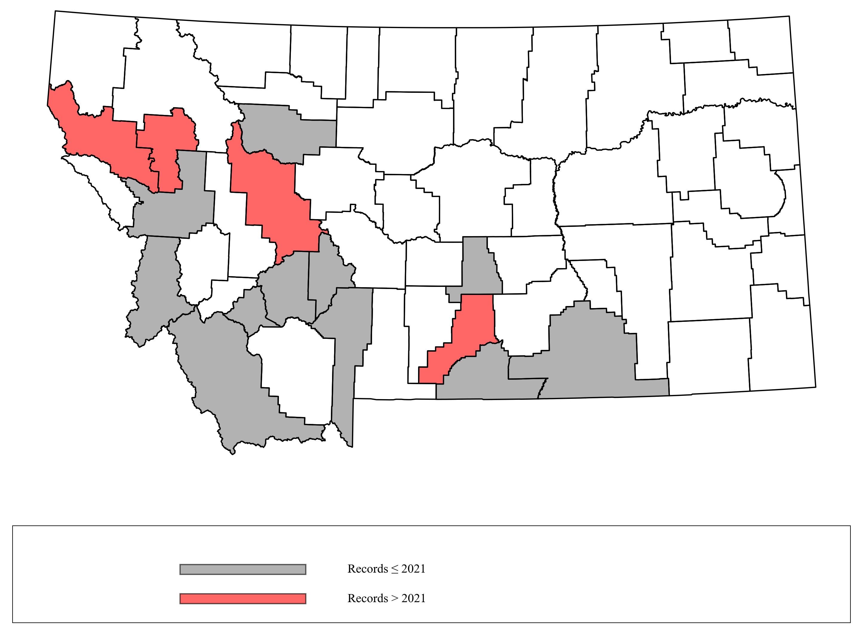 Megachile_coquilletti  Megachile_coquilletti