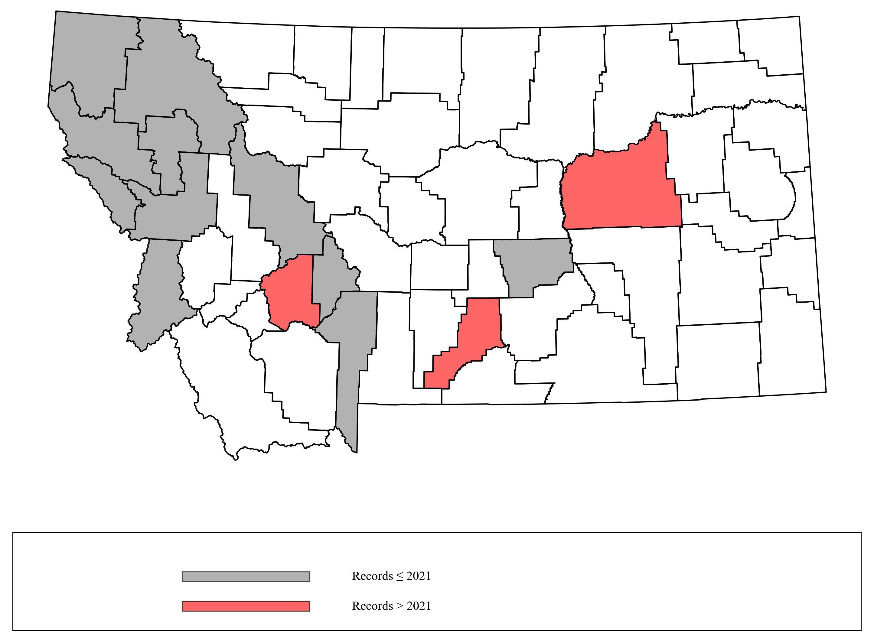 Megachile_fidelis  Megachile_fidelis