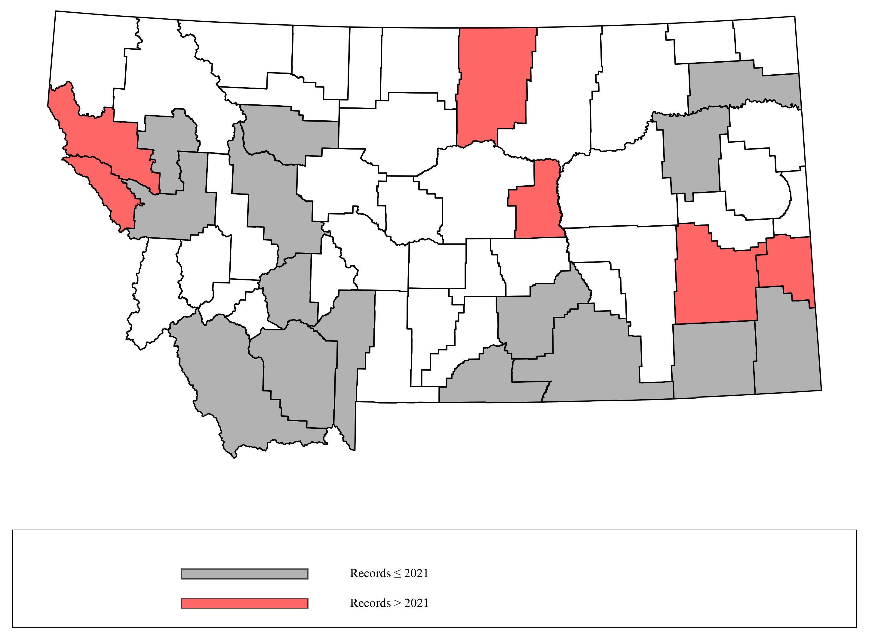 Megachile_lippiae  Megachile_lippiae