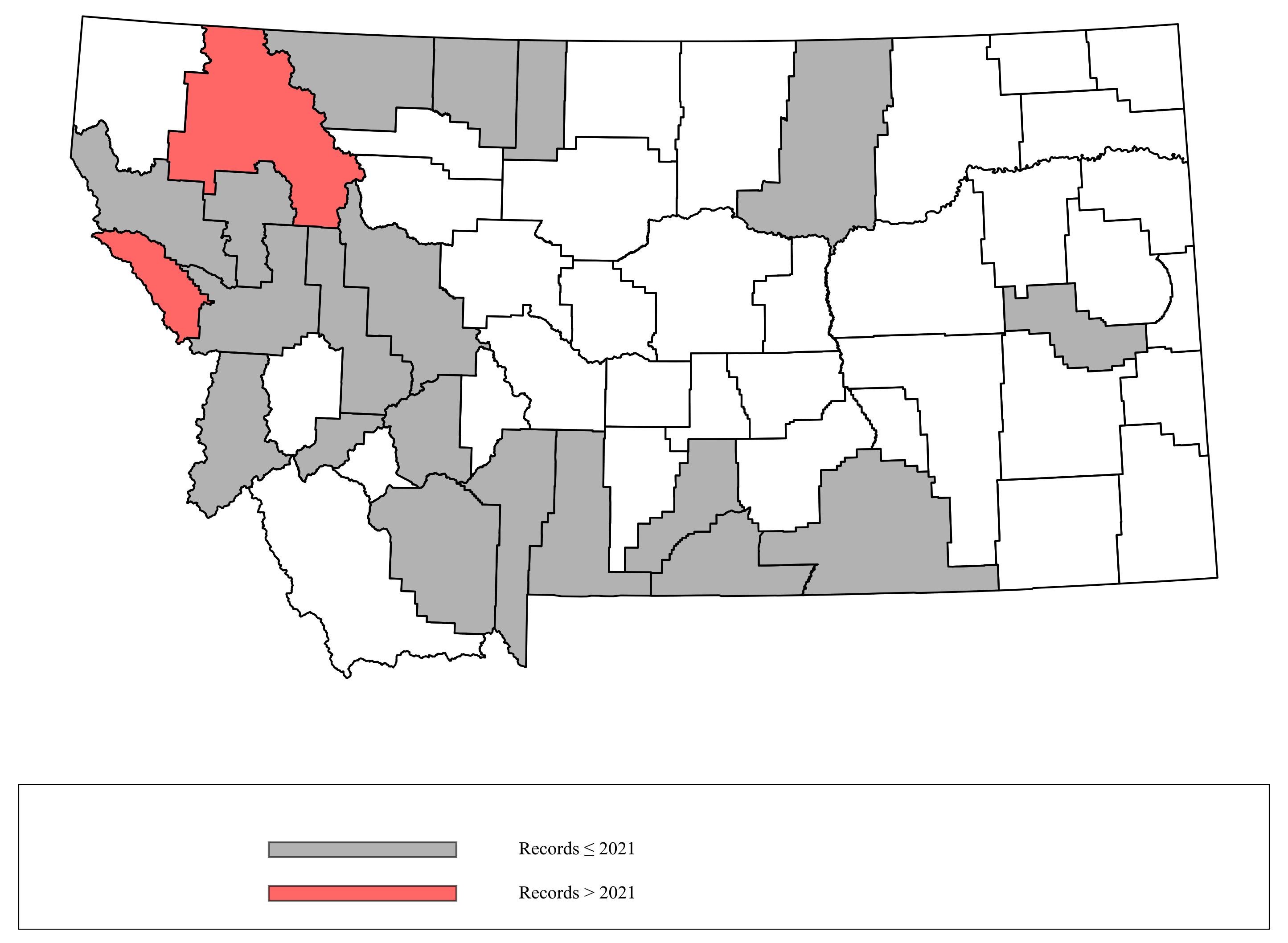 Megachile_onobrychidis  Megachile_onobrychidis