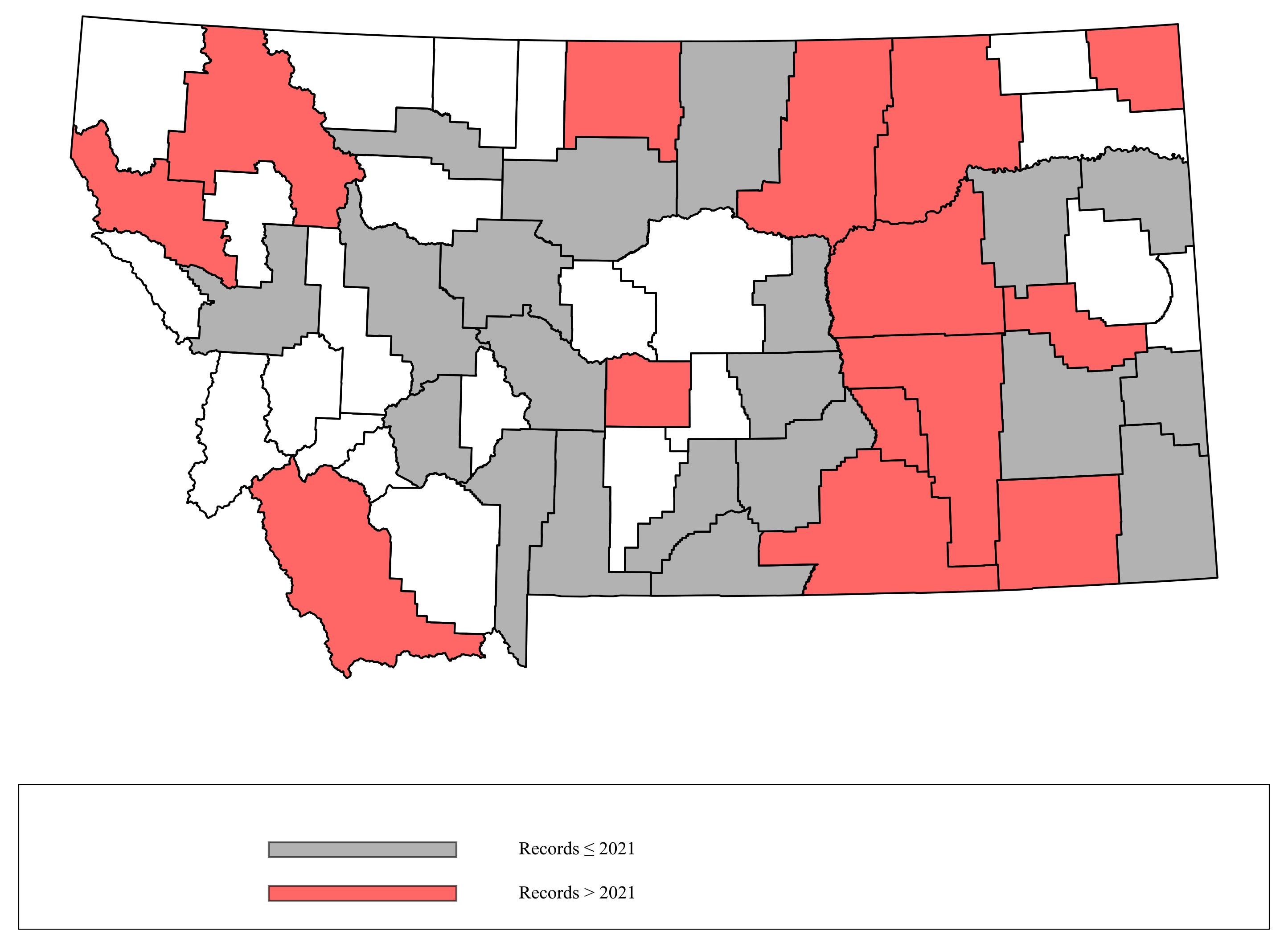 Megachile_parallela  Megachile_parallela