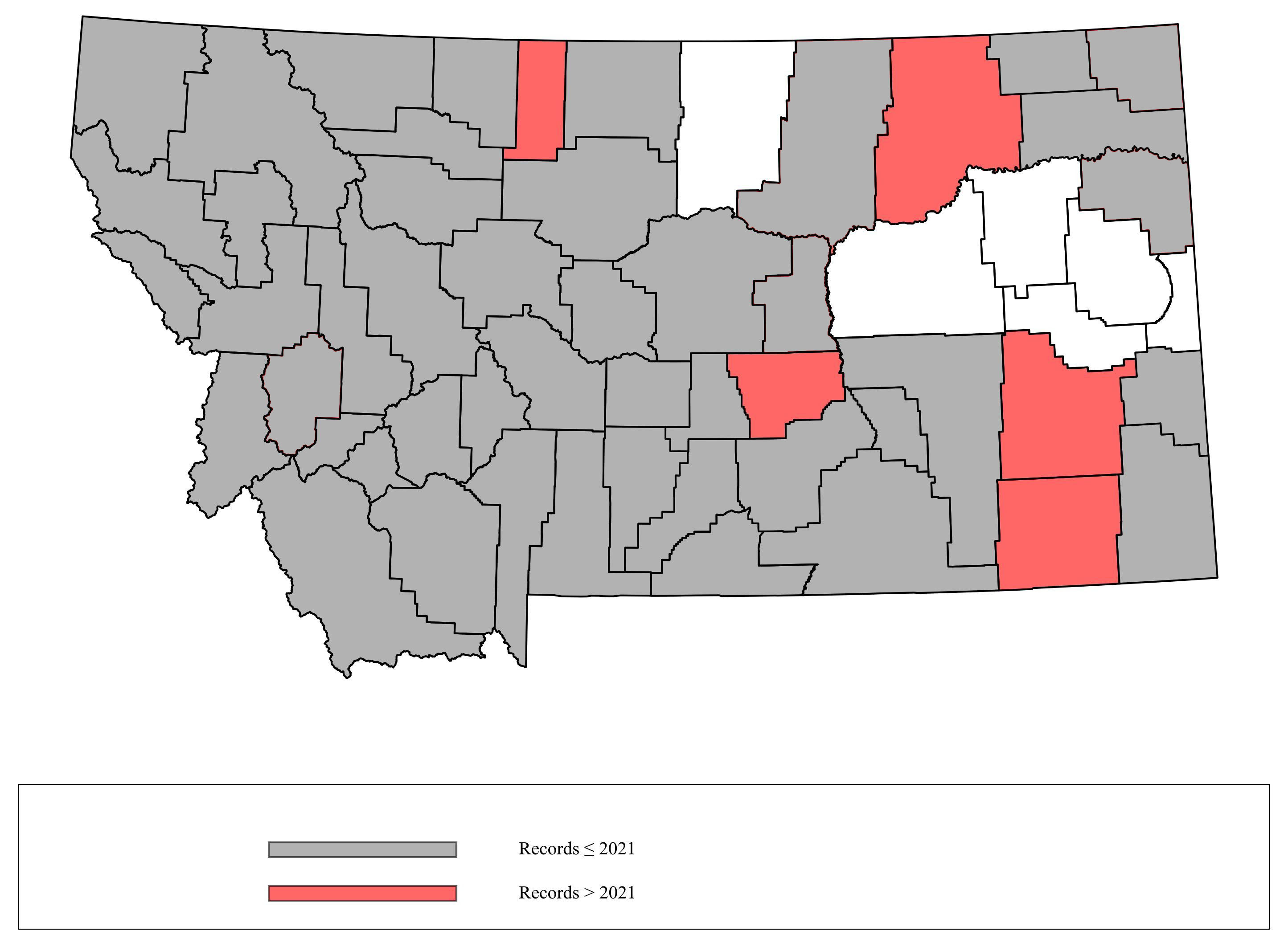 Megachile_perihirta  Megachile_perihirta