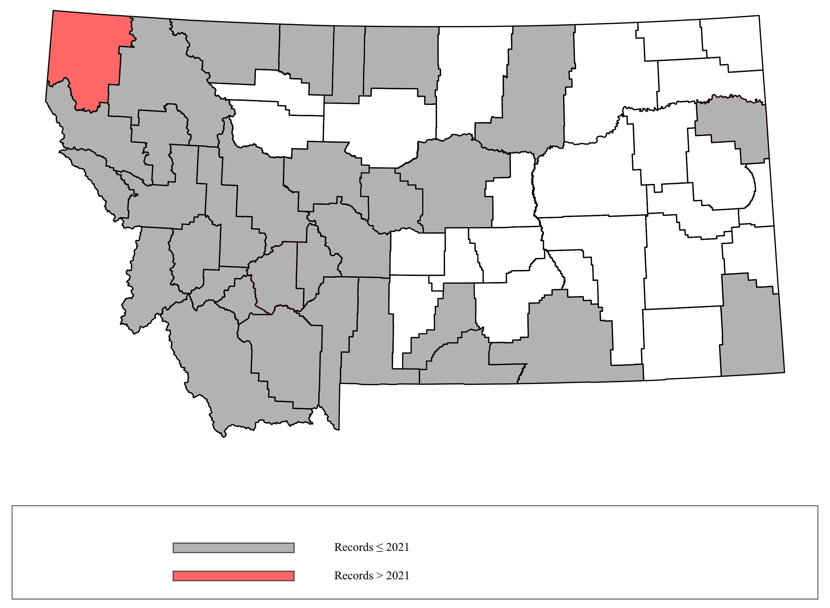 Megachile_relativa  Megachile_relativa