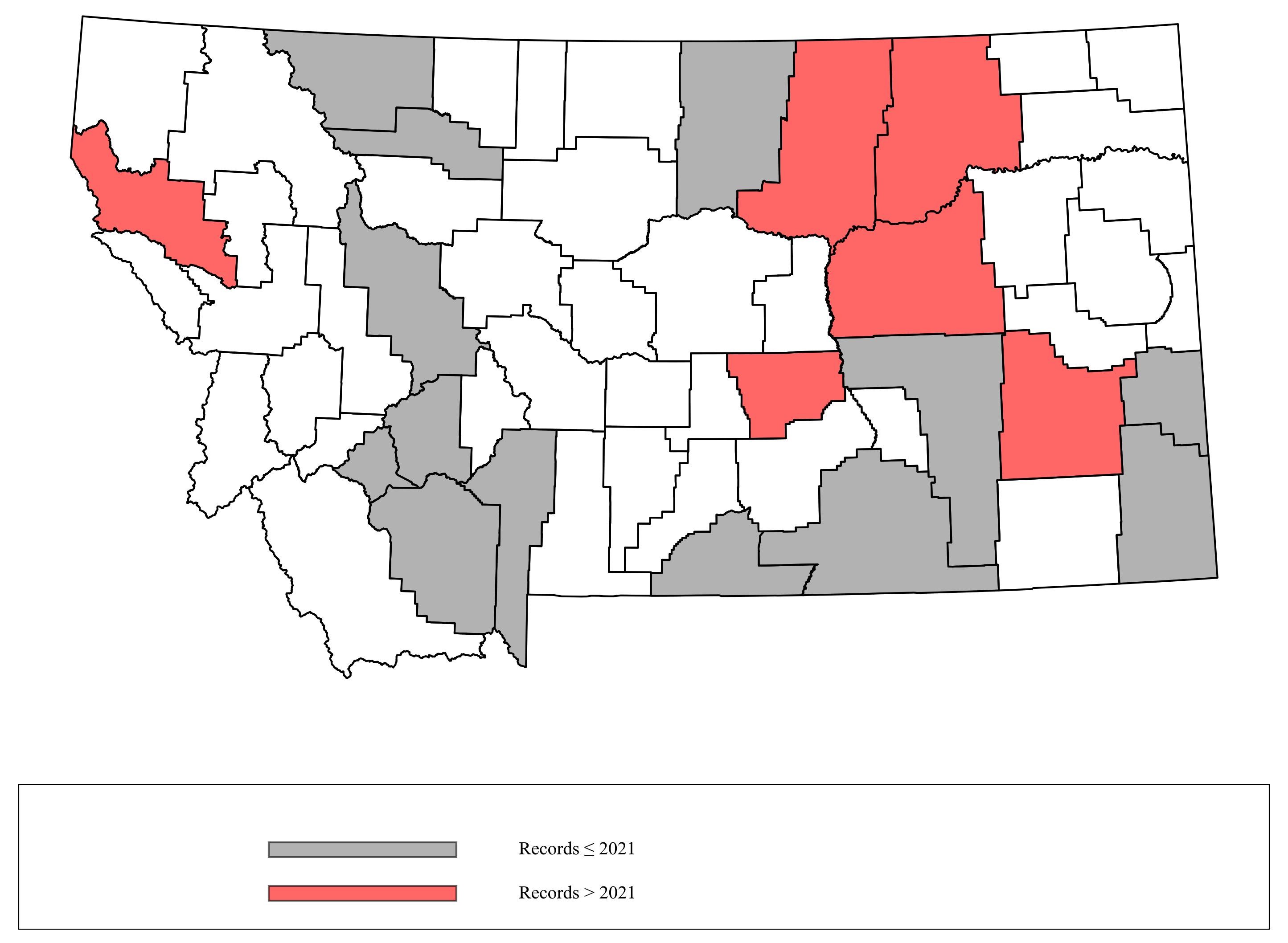 Megachile_texana  Megachile_texana