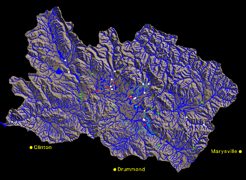 Blackfoot Tubifex map
