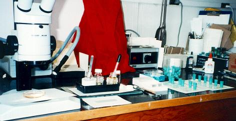 lab work area
