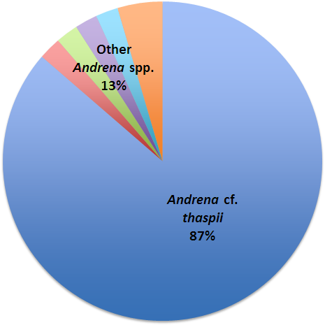pie chart of andrena