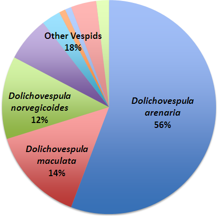 pie chart of vespinae