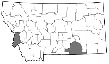 Agrilus granulatus granulatus distribution in Montana