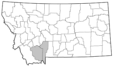 Callidium viridocyaneum distribution in Montana