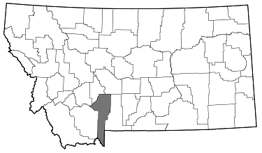 Chrysobothris nixa distribution in Montana