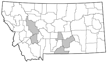 Meriellum proteus distribution in Montana