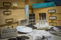 Part of Dan Gustafson's donation more than 1 million specimens, books, scientific papers, field notes and photos to the Montana Entomology Collection