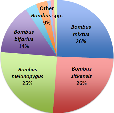 pie chart of bombus species