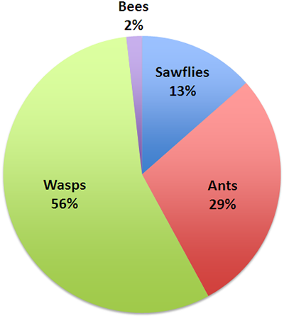 leaf and visitors pie chart