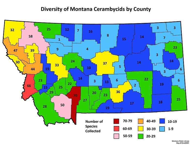 cerambycidae density of Montana