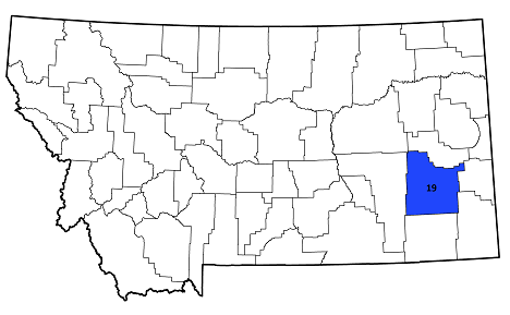 Custer County