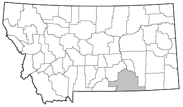 Oberea ulmicola distribution in Montana