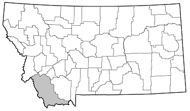Tetropium cinnamopterum distribution in Montana